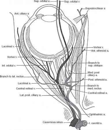 378x451 What Do You Do Now