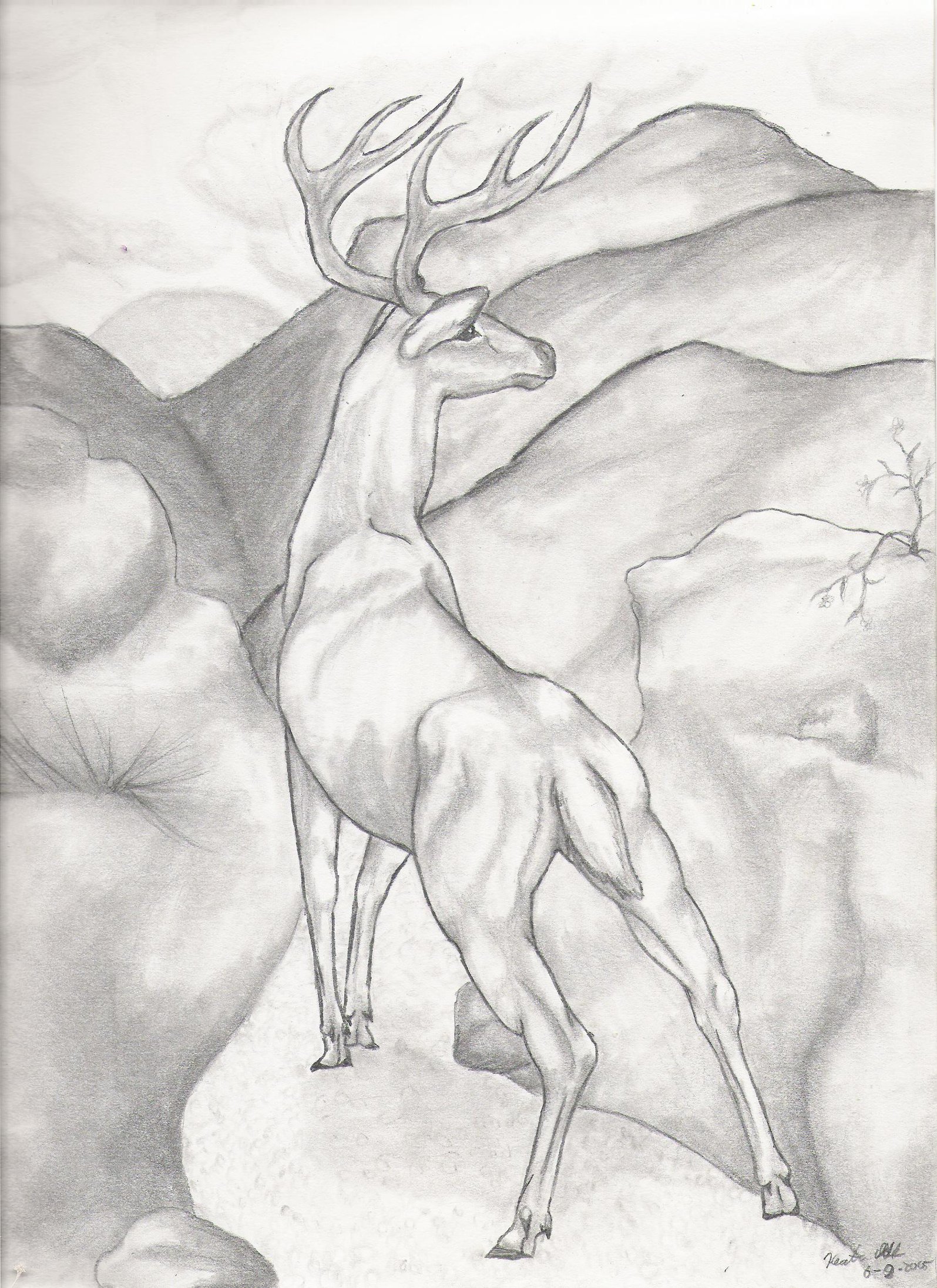 1595x2193 Deer Ridge By Volpone