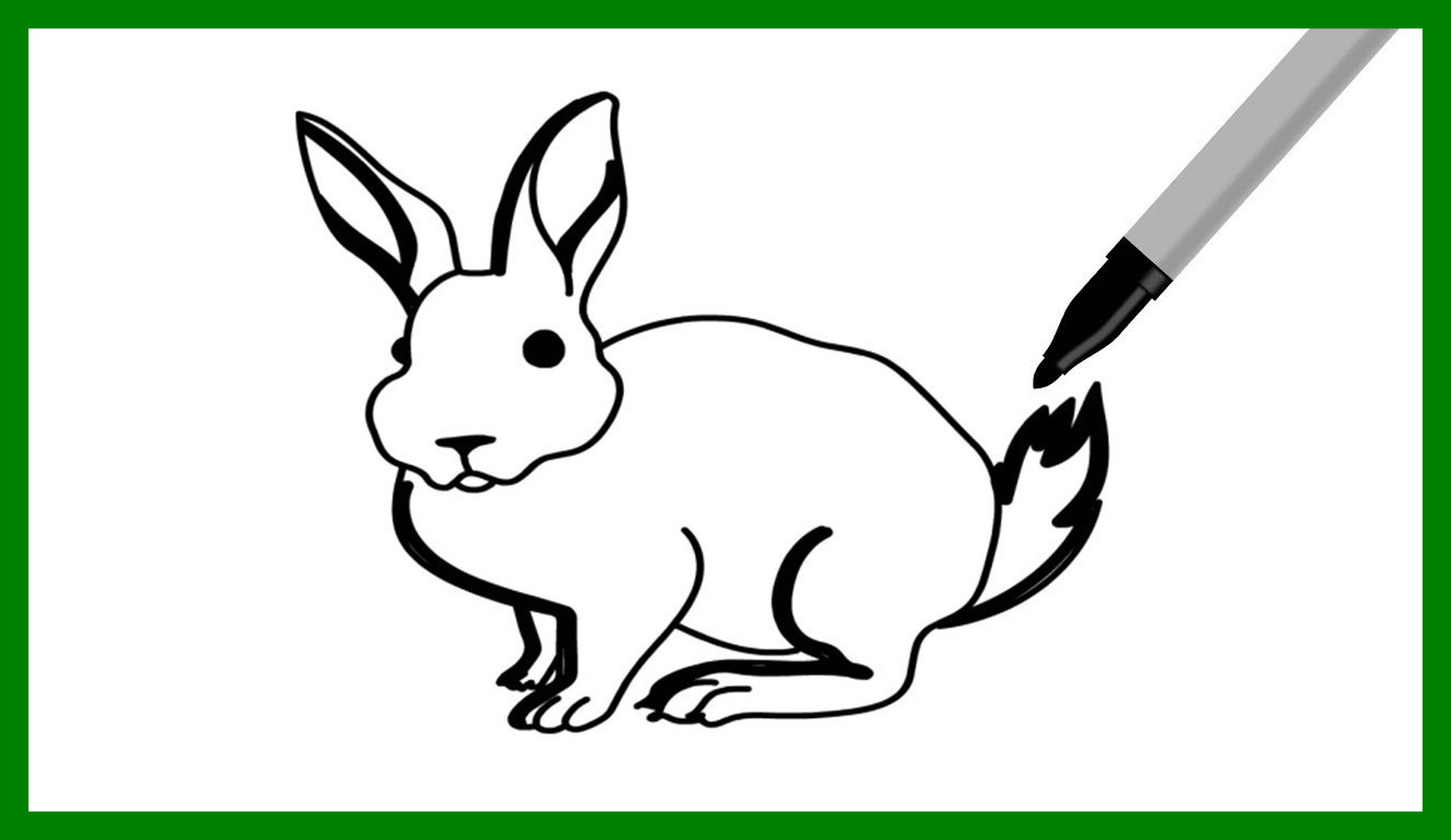 1332x772 Fascinating Superior Bunny To Draw Drawing How A Face Picture