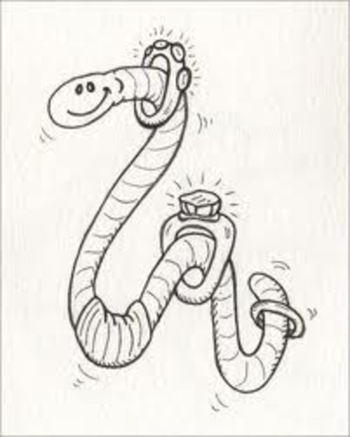 384x480 Letters From Rifka Timeline Timetoast Timelines