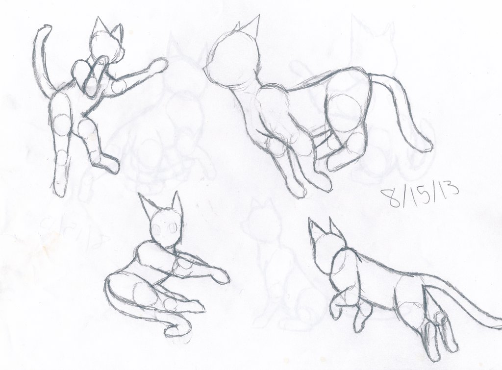 1024x755 Cat Anatomy Practice 1 By Thelongdreamer