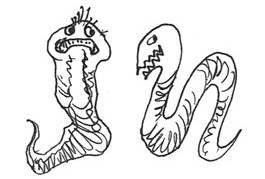 265x179 Alder Brooke Healing Arts