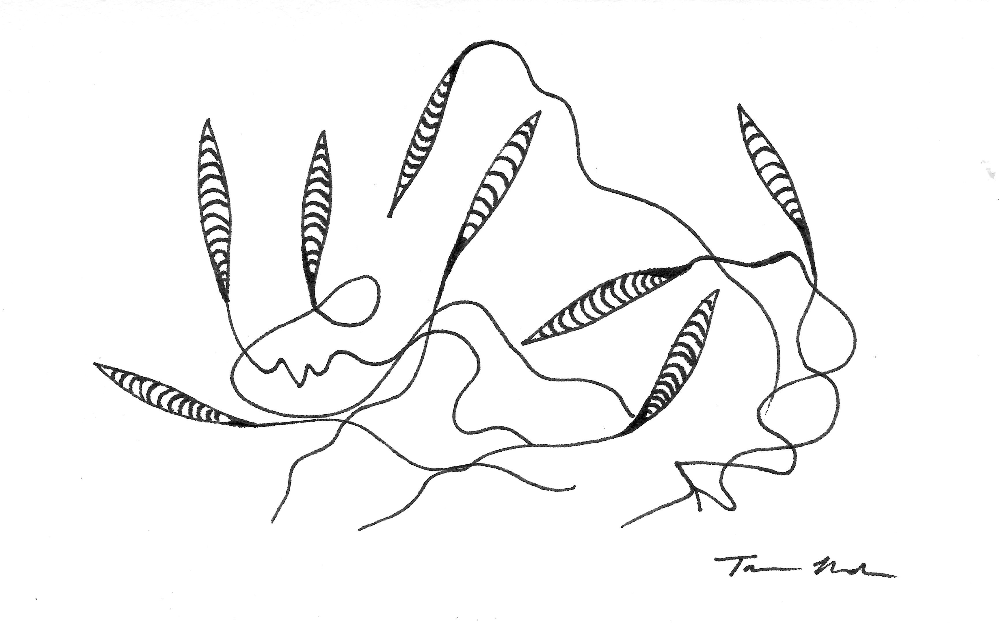 3459x2156 By Any Other Name Science Whys