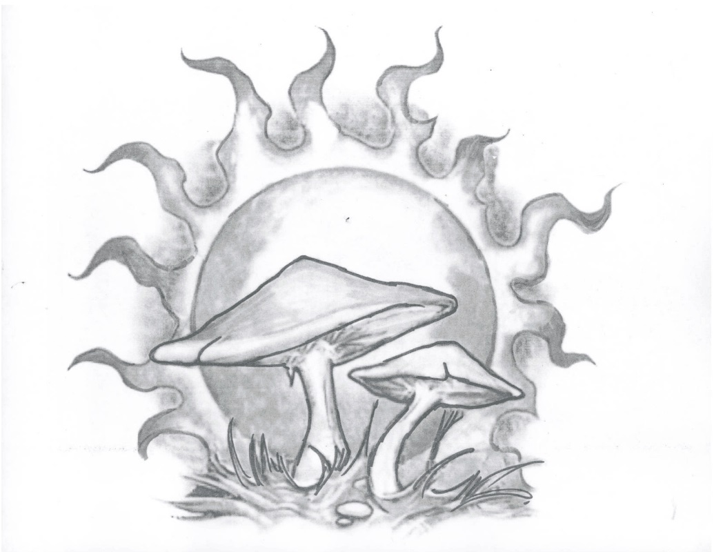 1035x800 Coroner's Officials Seek Help Identifying Woman Found Dead