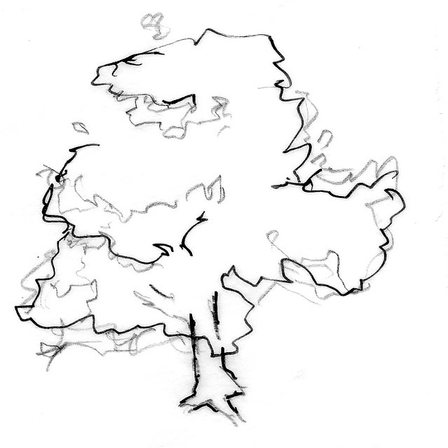 639x640 63 Best Art Tree Sketch Images On Tree Sketches