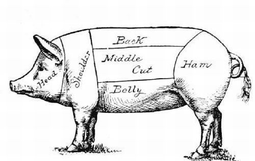 500x317 72 Best Drawing Images On Engraving Illustration