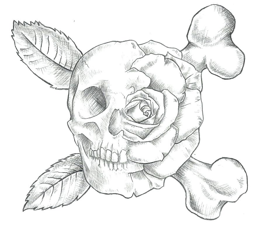 900x773 Skull And Rose Drawing Skull Rose Drawing Tumblr