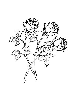 302x403 Rose Outlines Tumblr