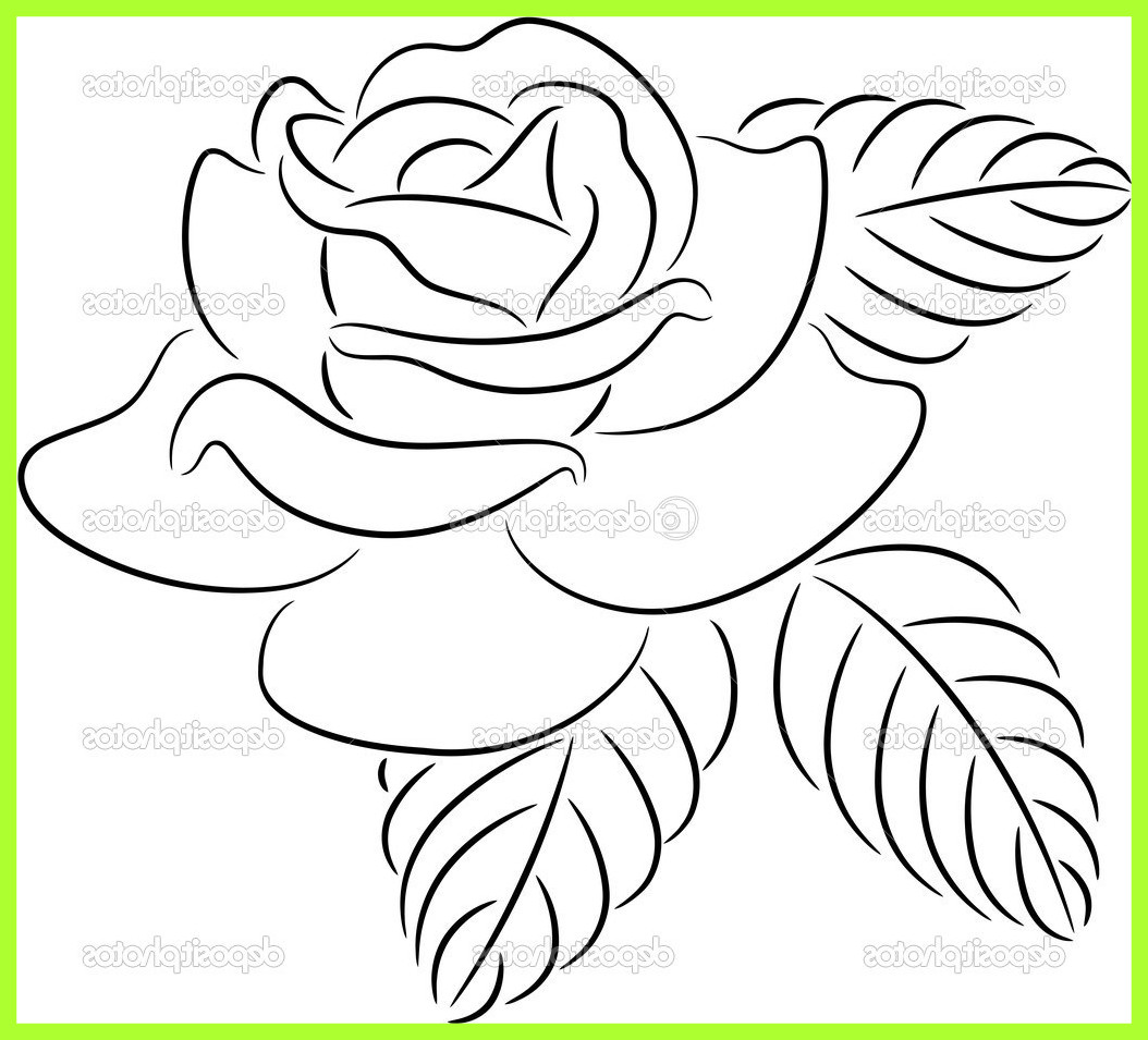1054x955 23 Ideas Of Rose Flower Drawing Tumblr