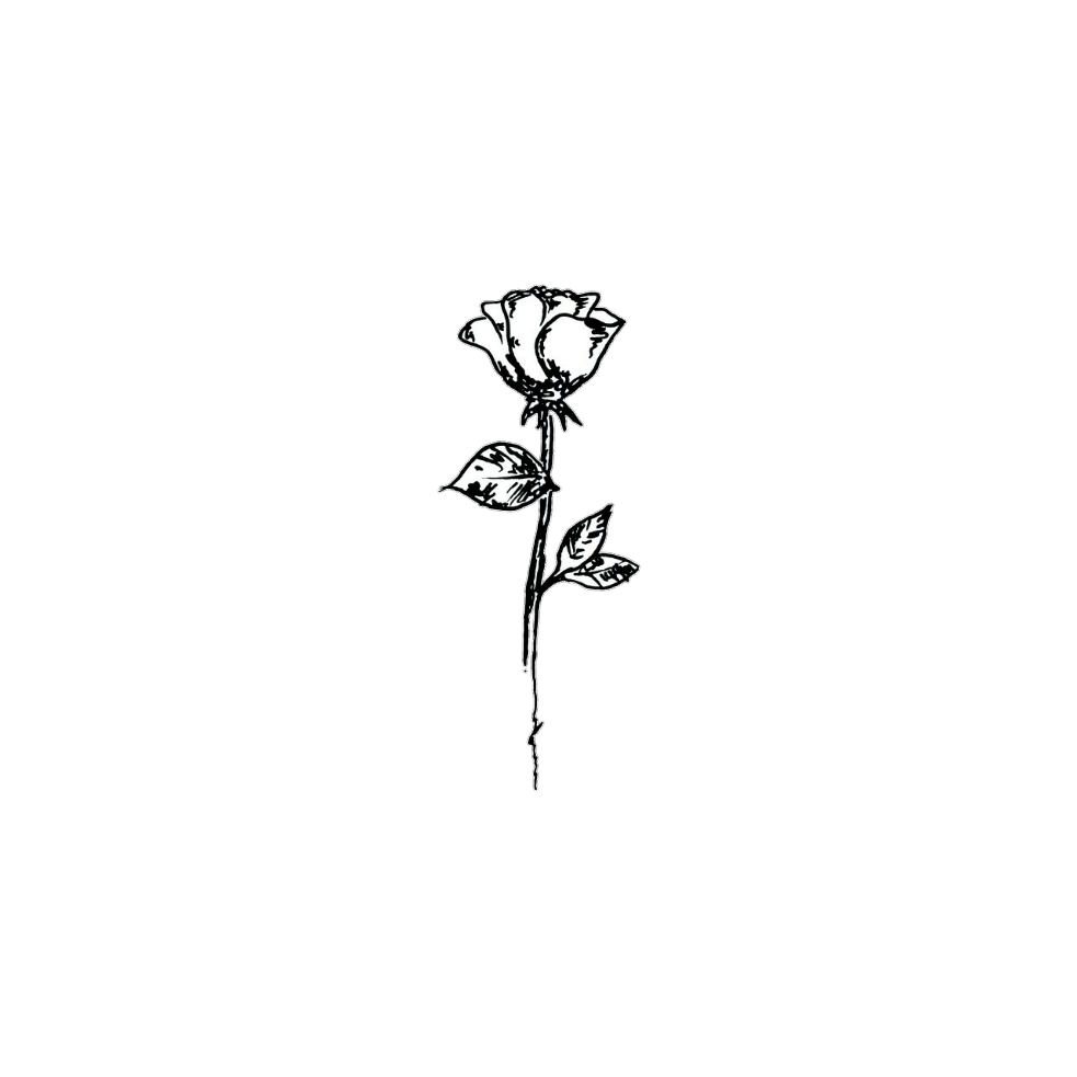 983x983 Rose Tumblr Blackandwhite