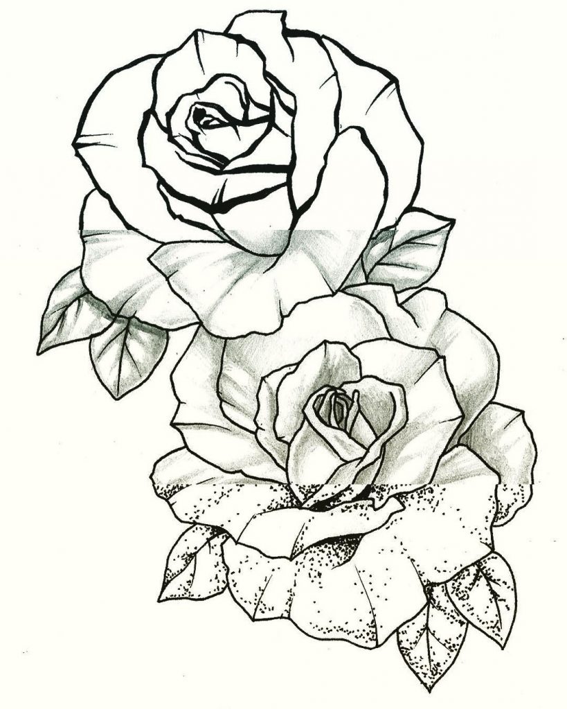819x1024 Download Rose Tattoo Line Art
