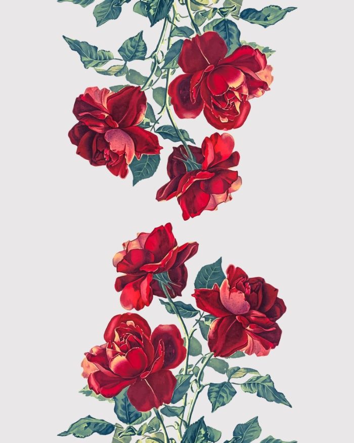 700x875 Red, Roses, Flowers, Floral, Nature, Ltbrgt Ltbr