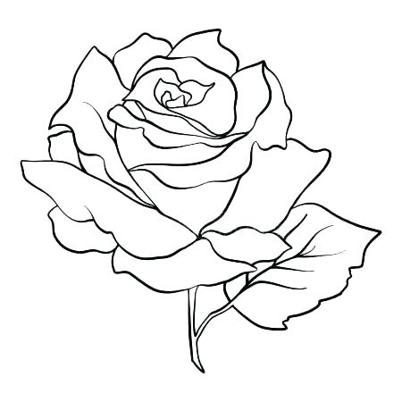 Rose Flower Black And White Drawing at GetDrawings | Free download