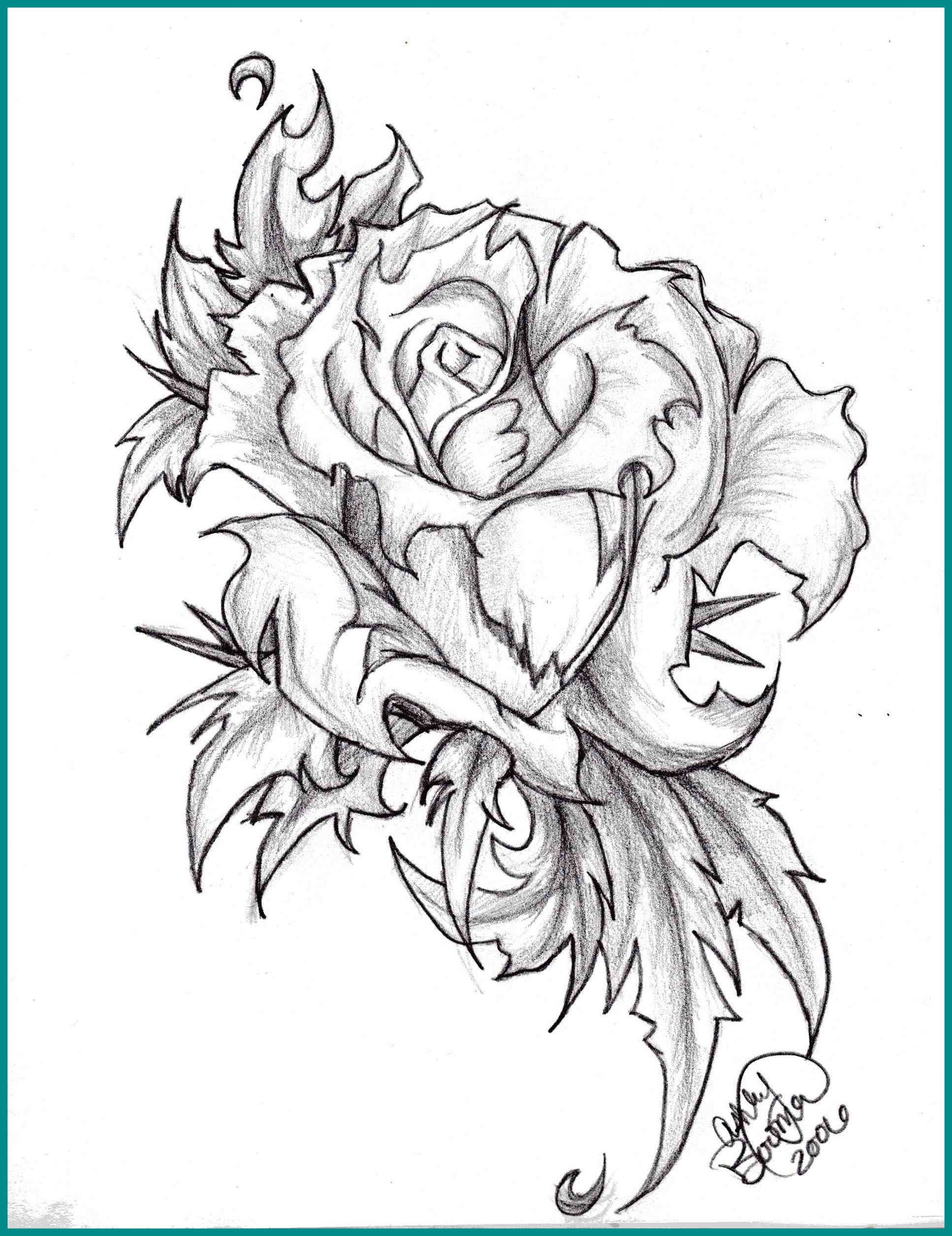 1930x2505 Stunning Rose Flower Black And White Drawing Clipartxtras