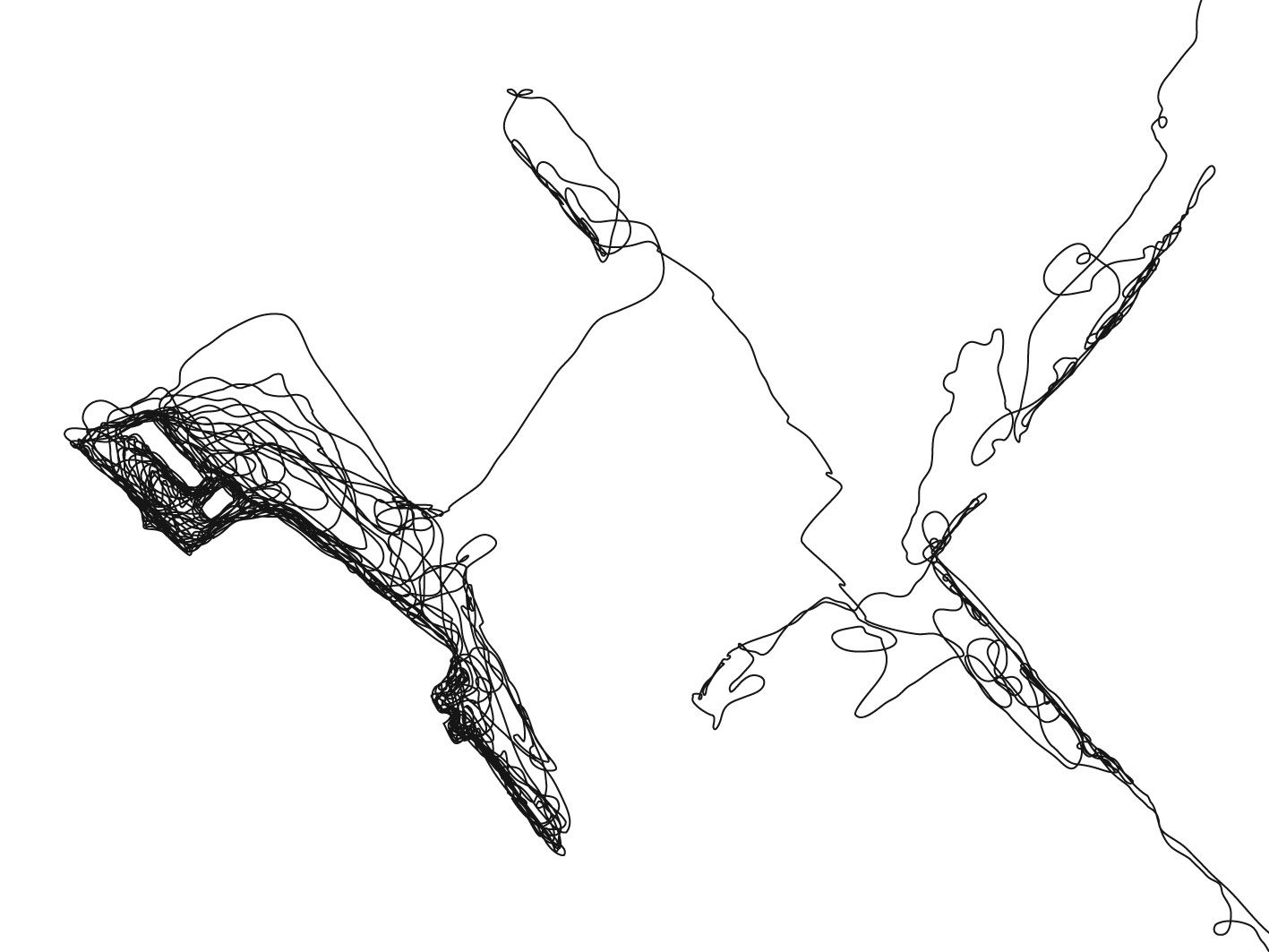 1417x1063 Tim Knowles. Detail Of Drawing [Above] Showing How As