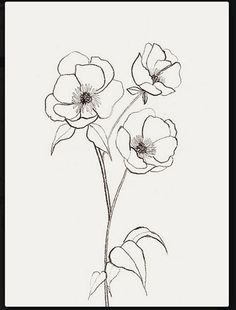 236x310 Drawn Poppy Row Flower