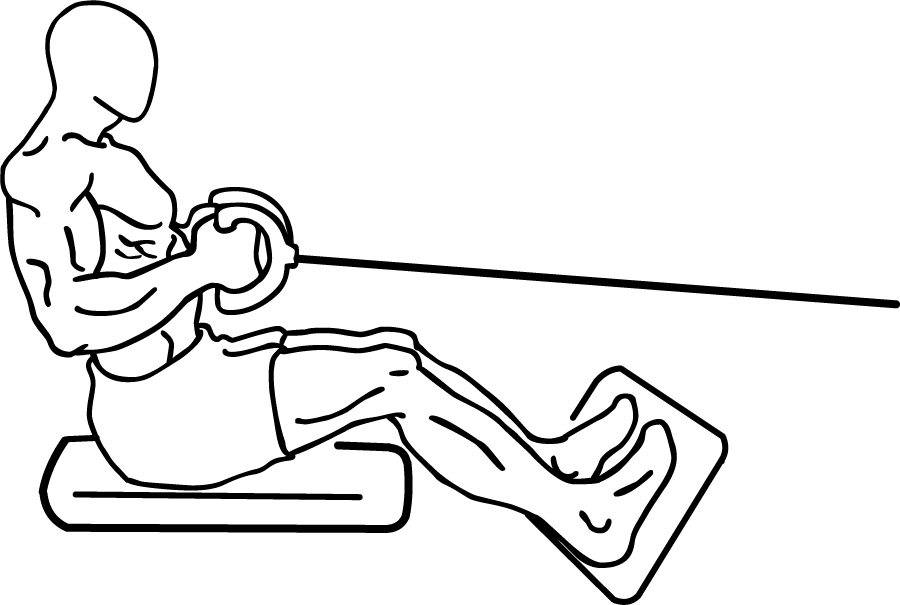 900x605 Seated Cable Row