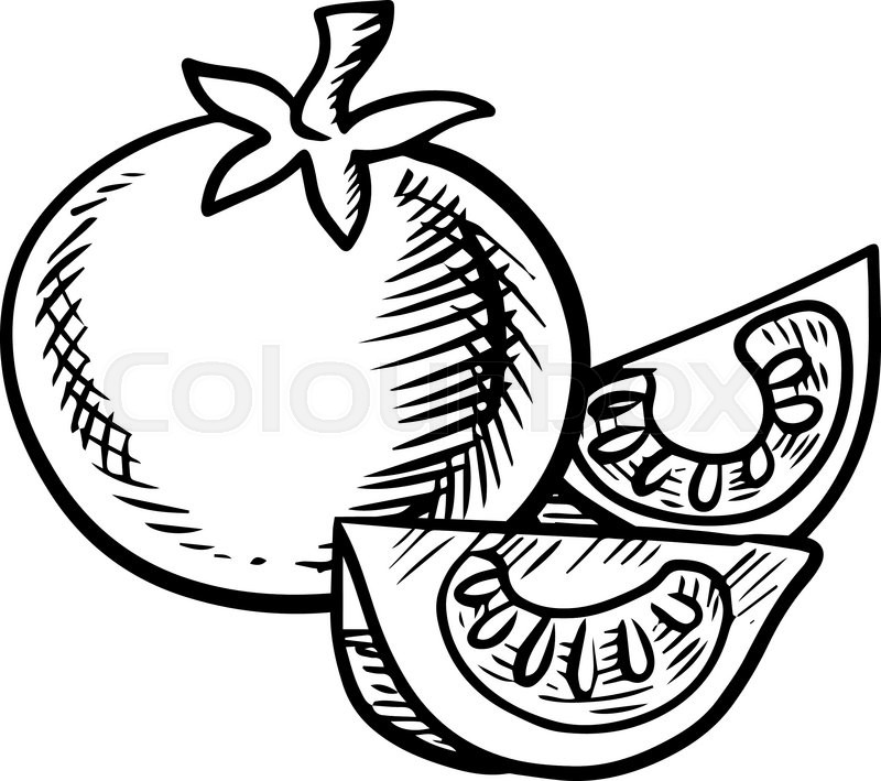 800x709 Whole And Sliced Fresh Tomato Vegetable With Row Of Seeds On