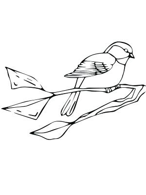 300x400 Chickadee Coloring Page 8 Images Of Pond And Row Boat Coloring