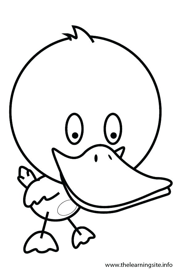 600x900 Rubber Duck Outline Duck Outline Drawing Cute Cartoon Rubber
