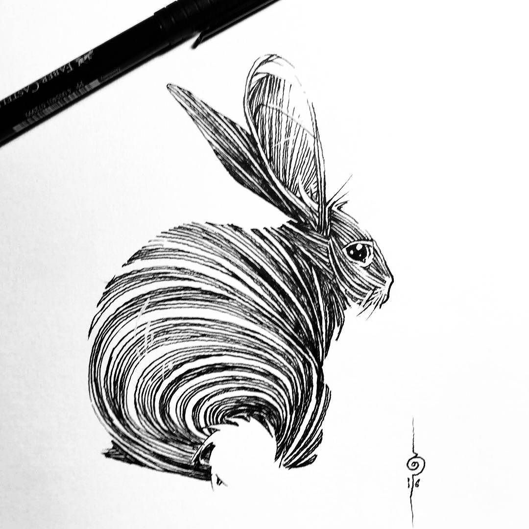 1080x1080 Pin Ni Sari Salminen Sa Animal Art