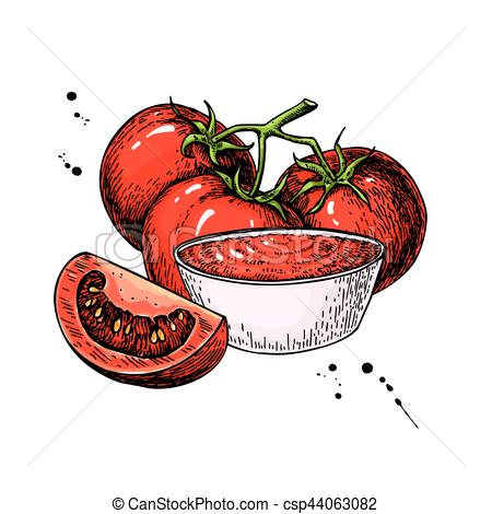 450x470 Tomato Sauce Drawing. Vector Isolated Illustration With Bowl