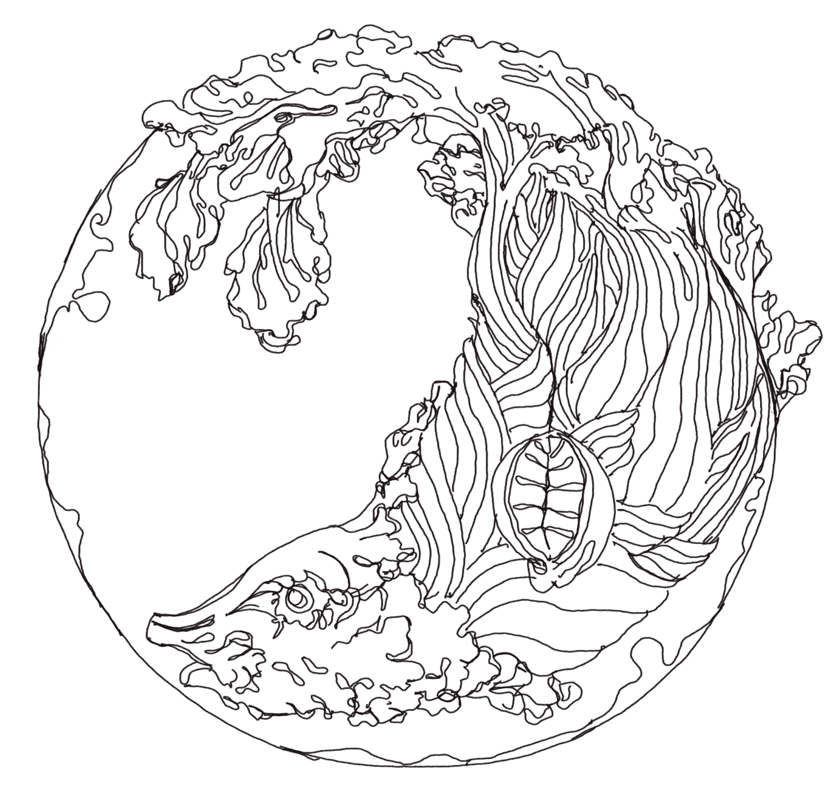 1695x1629 Color Scheme Game Dala Art Drawing Elissa's Fish Platter Chris