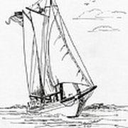 180x180 Schooner On The Bay 2 Drawing By Nancy Patterson