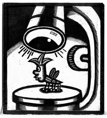 375x411 Scraper Board Drawings For Sale Saatchi Art