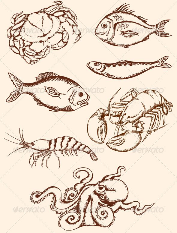 590x773 Hand Drawn Seafood Icons Hand Drawn, Food Icons And Icons