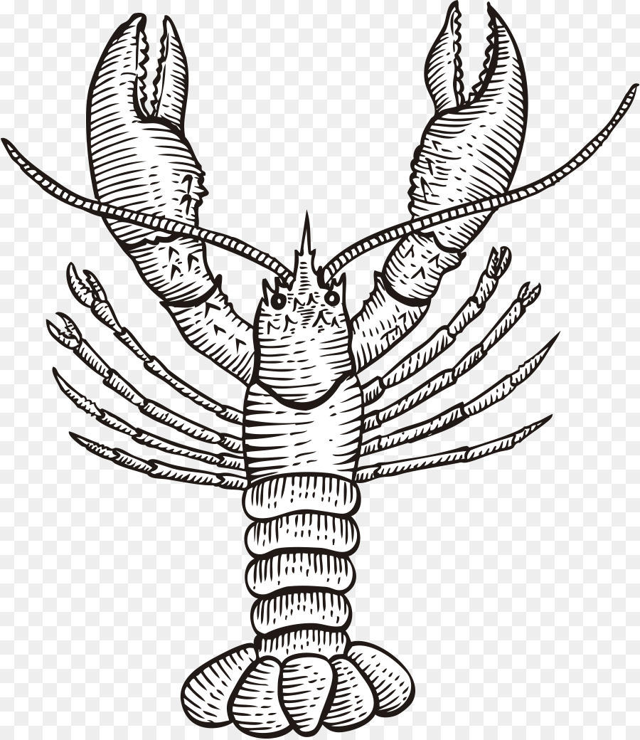 900x1040 Port Isabel Gulf Quality Seafood Drawing Fish Market