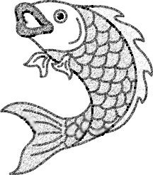 216x246 Fish Drawings