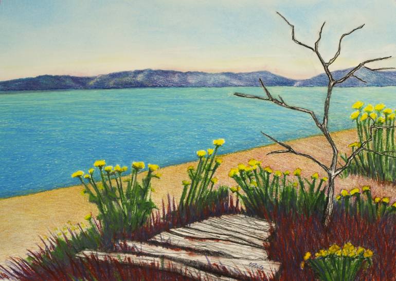 770x547 Saatchi Art Seaside Vashon Island Beach With Flowers