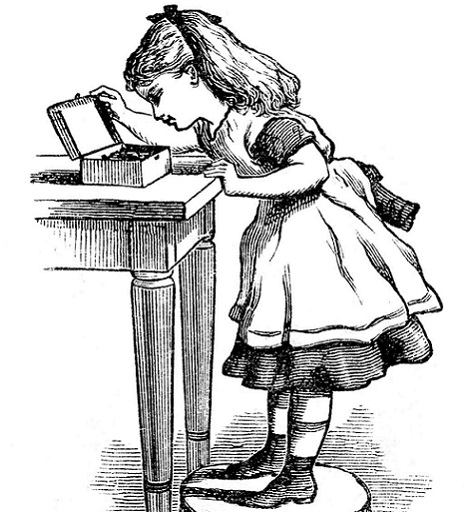 468x512 Amalia In Archiveland Culturally Sensitive Heritage Solutions