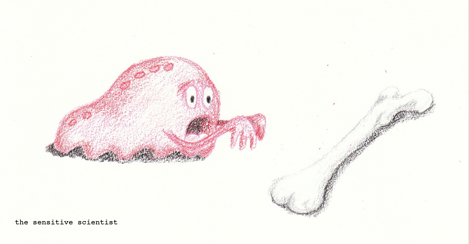 1573x820 Drawing The Sensitive Scientist