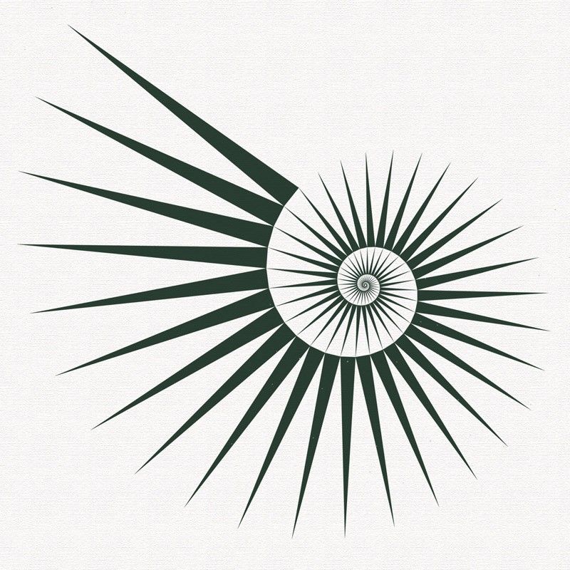 800x800 Fibonacci Spirals