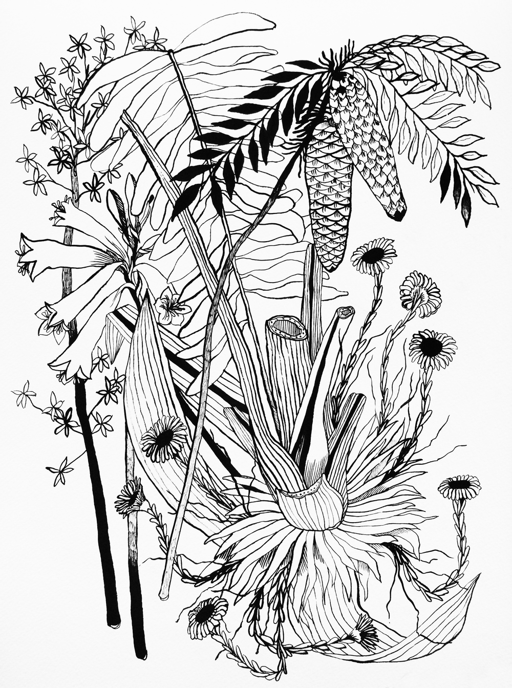 1000x1344 Drawing, Painting, Amp Printmaking Corey J. Isenor