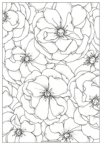 424x600 Set Of Watercolor Coloring Pages Polina Bright Art