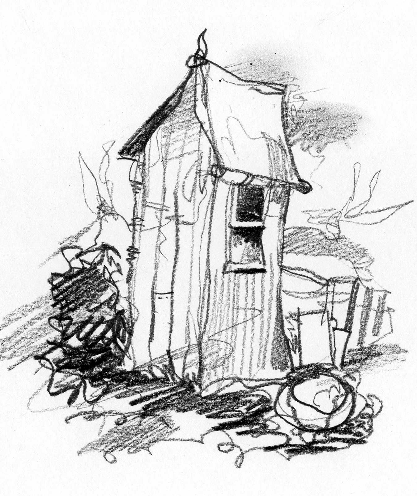 1349x1607 Shed On The Allotment Paul Davies Cartoons