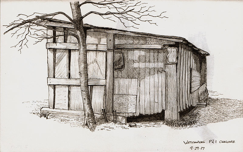 800x501 Pen And Ink Drawing Old Shed Creative Pursuits [Art
