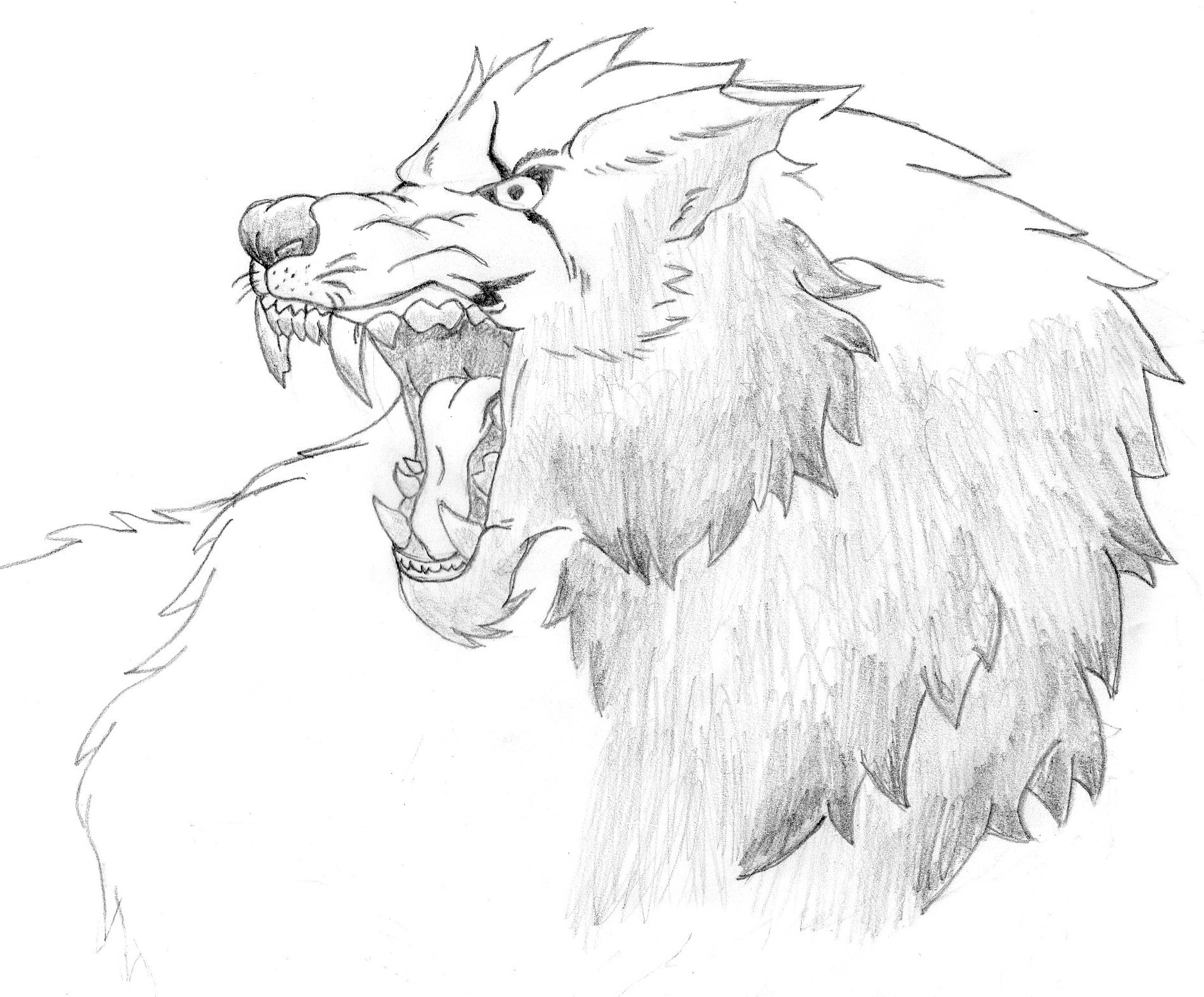 1877x1554 Angry Wolf Drawings Angry Wolf Sketch