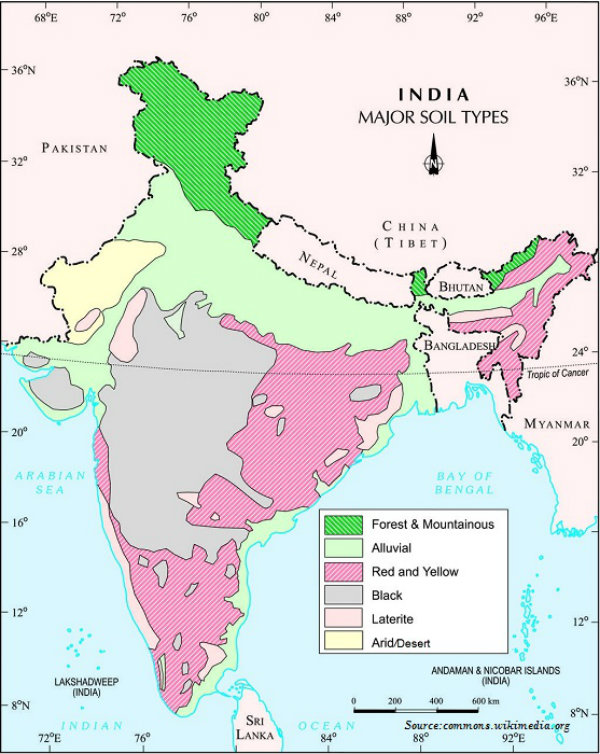 600x754 Geography Quick Guide