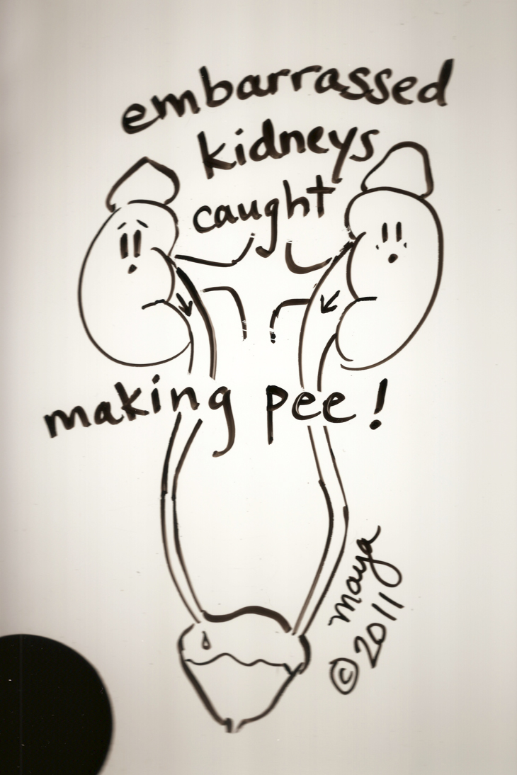 730x1094 White Board Comic Shoemaker Medical