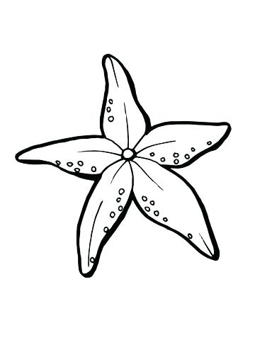 360x480 Shooting Star Coloring Pages
