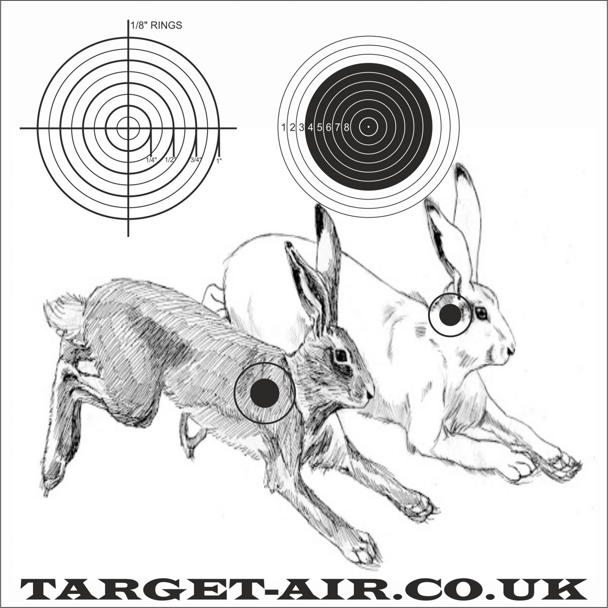 1958x1957 Animal Hares