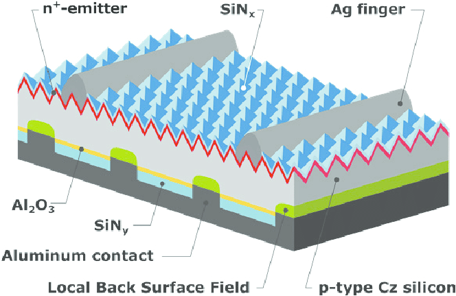 664x431 Schematic Drawing Of The Perc Silicon Solar Cell With Printed Ag