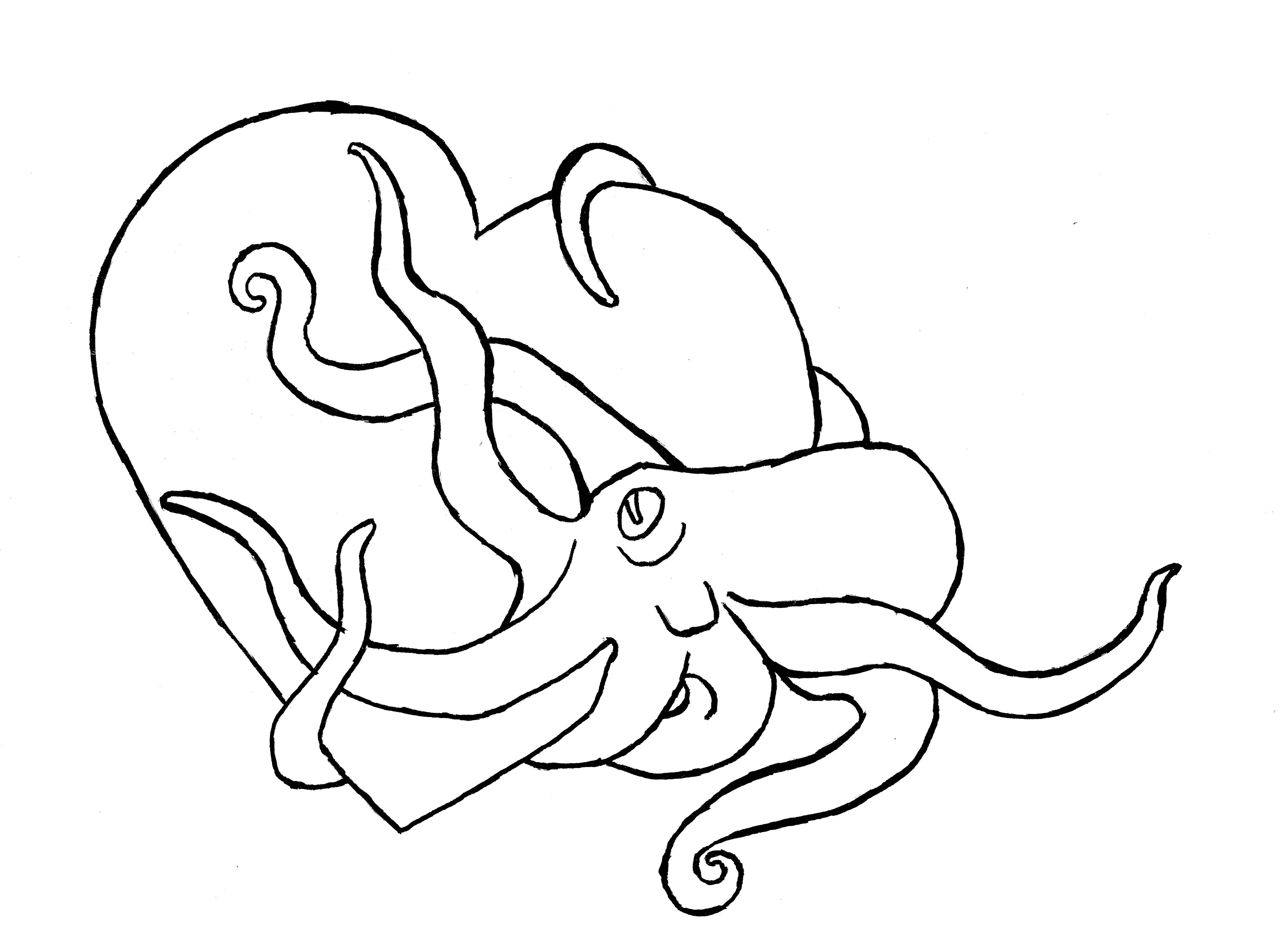 5000x3686 For You With Love Corvus Tristis Science, Craft And An Odd Bird