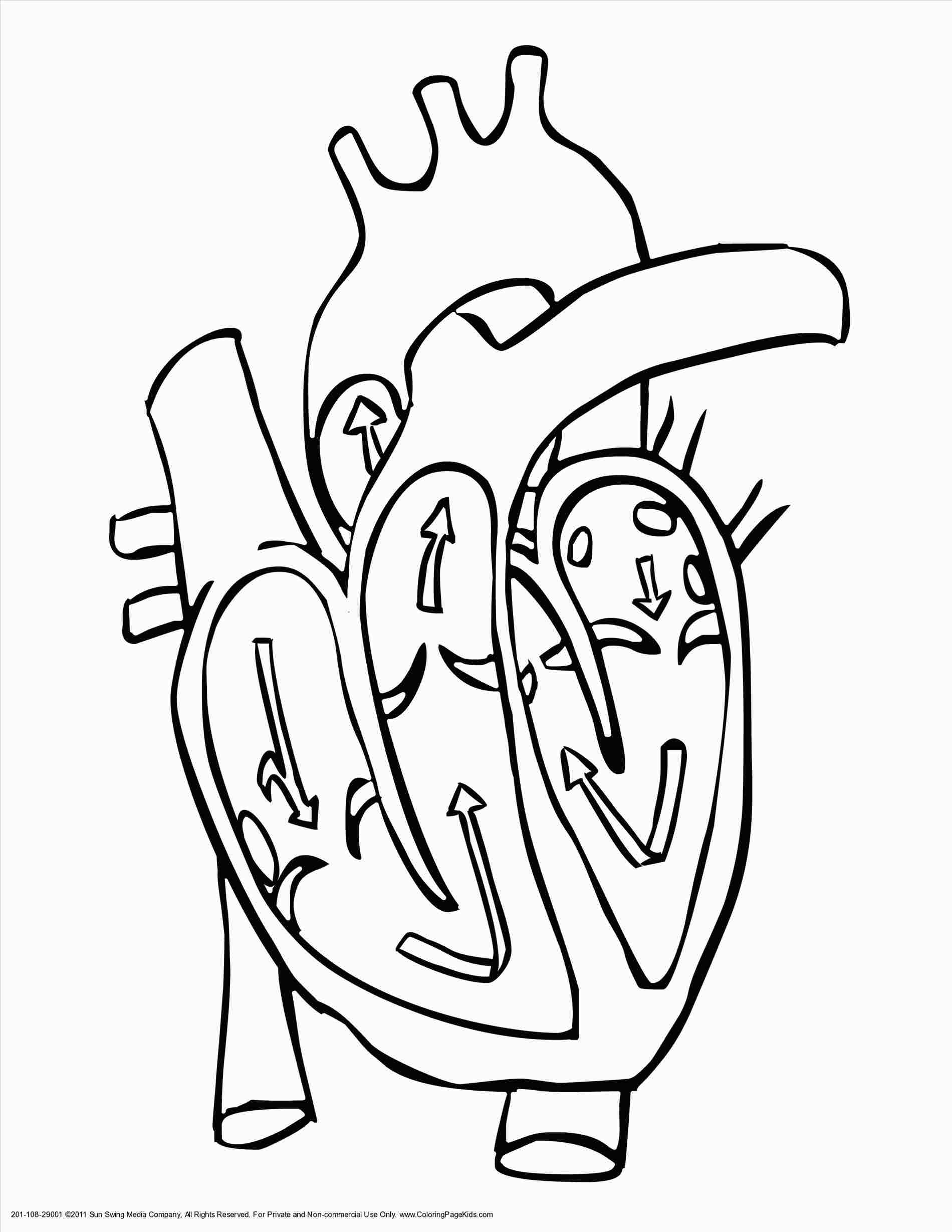 1900x2458 Embroidery Rhcom For You With Love Corvus Tristis Science