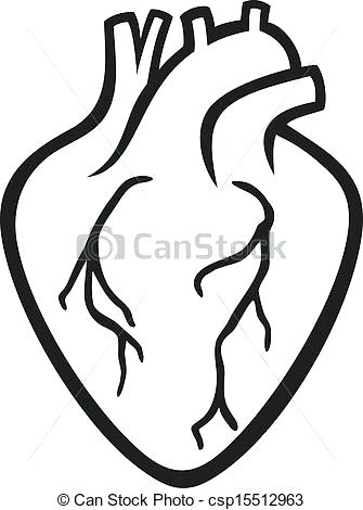 335x470 Anatomical Heart Free Download Best Anatomical Heart Human Heart