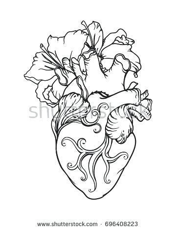 360x470 Anatomical Heart Outline A Geometric Heart Tattoo Idea Anatomical